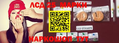 mdpv Малоярославец