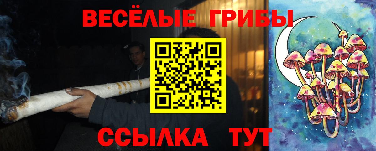 Псилоцибиновые грибы Psilocybine cubensis Чебаркуль